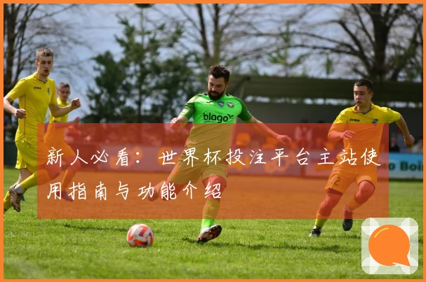 新人必看：世界杯投注平台主站使用指南与功能介绍