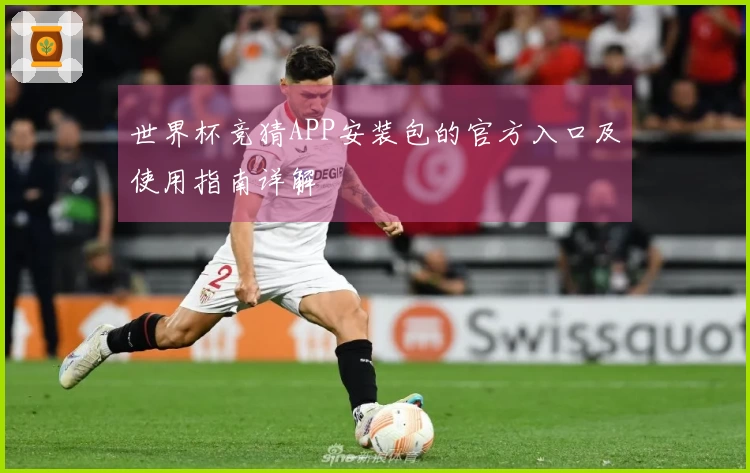 世界杯竞猜APP安装包的官方入口及使用指南详解